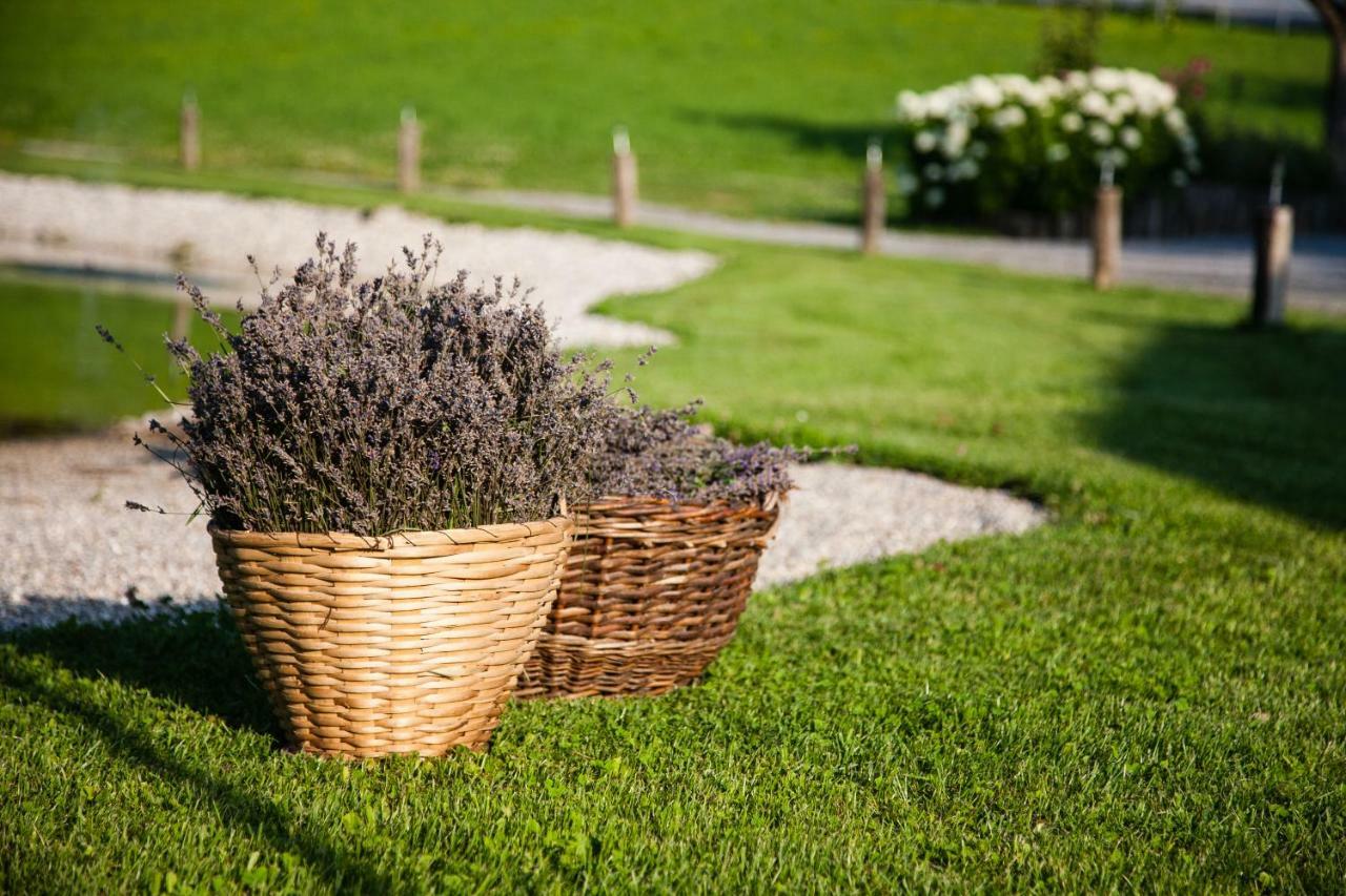 Lavender Hill, Eko & Wellness Gospodarstwo agroturystyczne