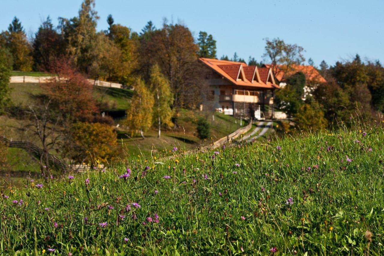 Gospodarstwo agroturystyczne Lavender Hill, Eko & Wellness Polzela
